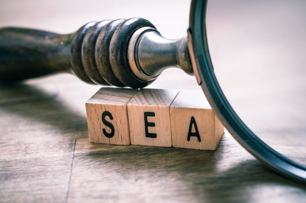 Image d'illustration de l'article de blog BienveNum : Les bases du SEA