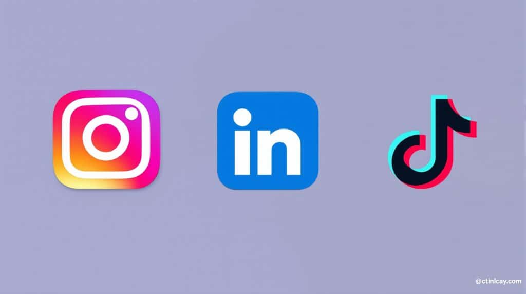 Comparaison plateformes réseaux sociaux Instagram LinkedIn TikTok