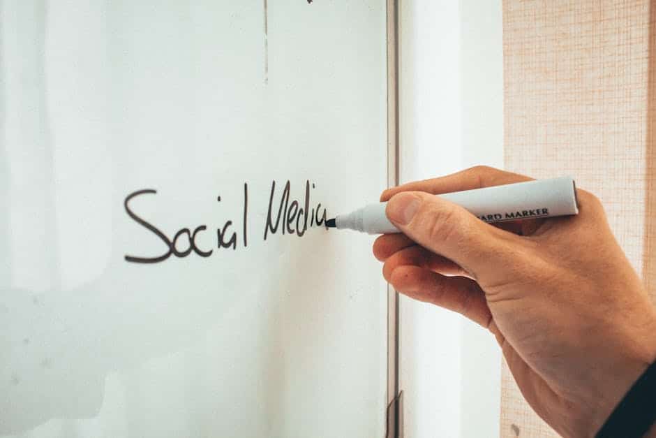 community - management - social