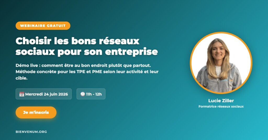 Webinaire BienveNum Lucie Ziller choisir ses réseaux sociaux mercredi 24 juin à 11h