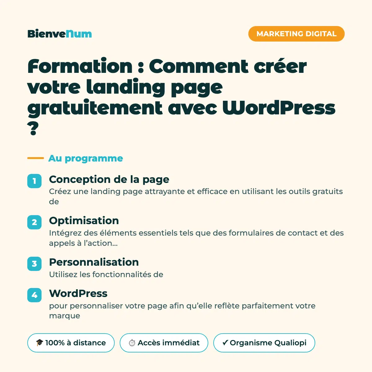 Programme de la Formation : Comment créer votre landing page gratuitement avec WordPress ? — formation en ligne BienveNum