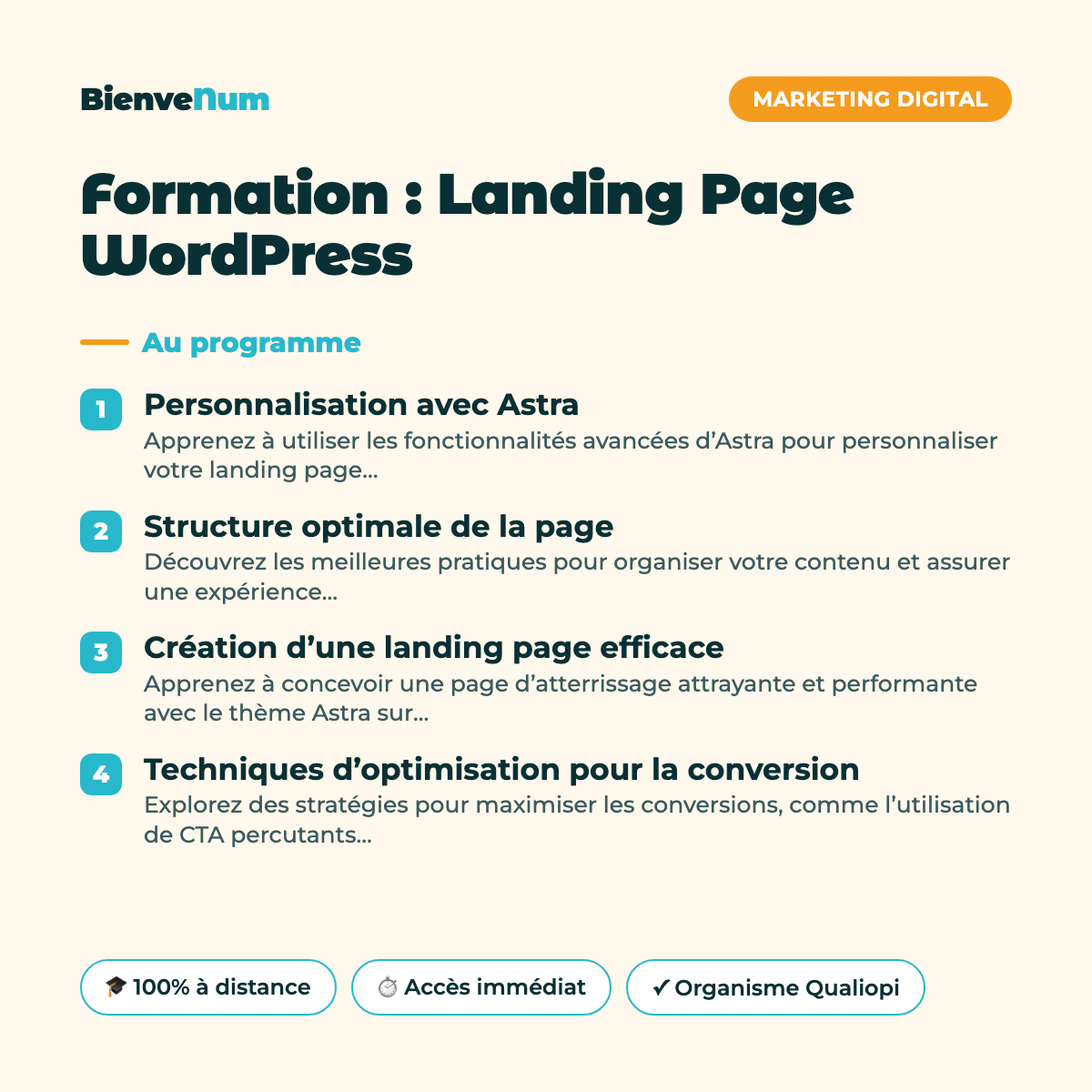 Programme de la Formation : Landing Page WordPress — formation en ligne BienveNum