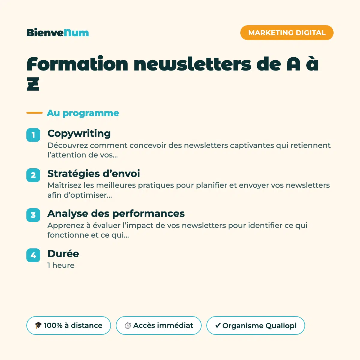 Programme de la Formation newsletters de A à Z — formation en ligne BienveNum
