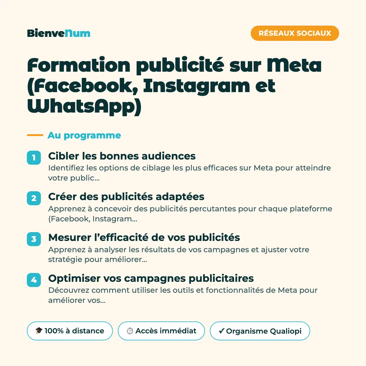 Programme de la Formation publicité sur Meta (Facebook, Instagram et WhatsApp) — formation en ligne BienveNum