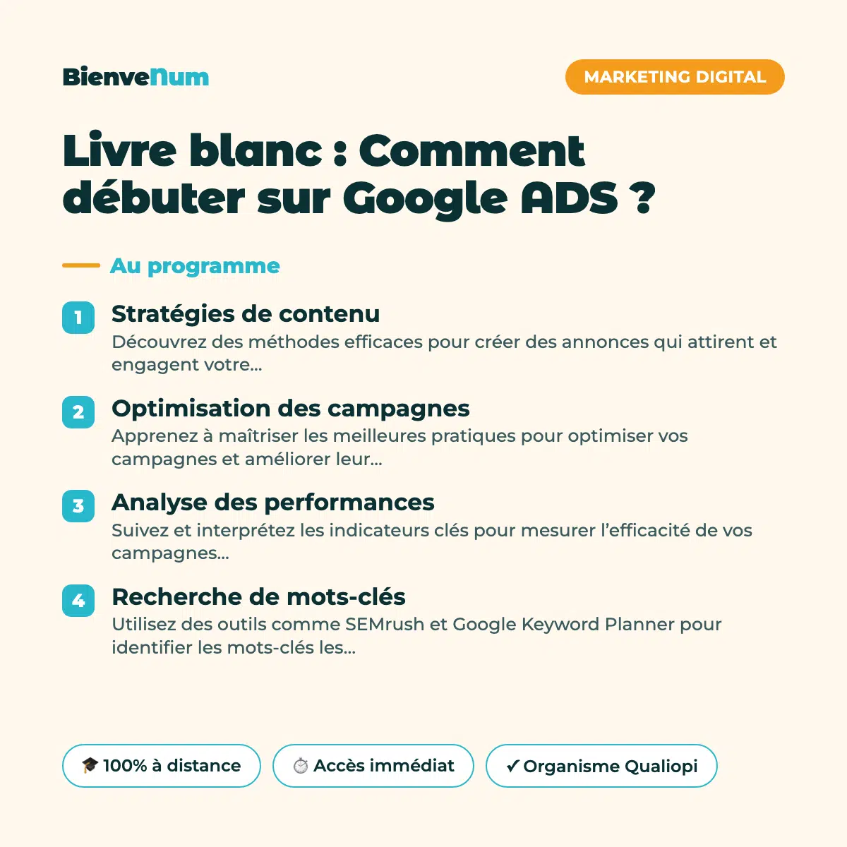 Programme de la Livre blanc : Comment débuter sur Google ADS ? — formation en ligne BienveNum