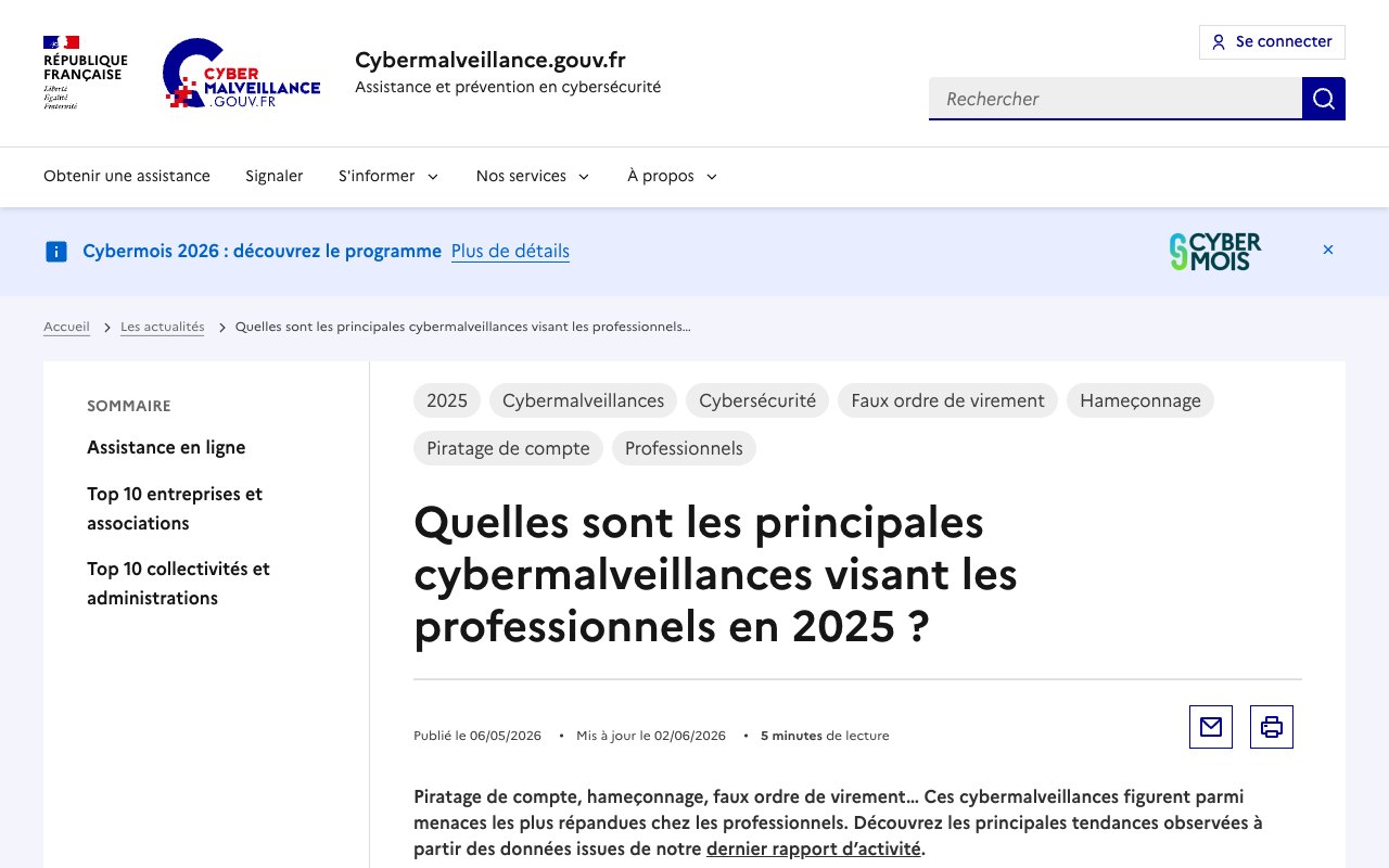 Page de Cybermalveillance.gouv.fr sur les principales cybermalveillances visant les professionnels en 2025